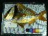  ( - stri-21259)  @13 [ ] Unspecified (default): All Rights Reserved  Unspecified Unspecified