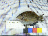  ( - stri-21289)  @12 [ ] Unspecified (default): All Rights Reserved  Unspecified Unspecified