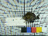  ( - stri-21287)  @12 [ ] Unspecified (default): All Rights Reserved  Unspecified Unspecified