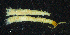  ( - BGE_00515_G01)  @11 [ ] Copyright (c) (2025) Unspecified University of Belgrade - Faculty of Biology