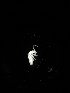  ( - BGE_00518_B05)  @11 [ ] Attribution Non-Commercial Share-Alike (by-nc-sa) (2013) Marko Lukic Croatian Biospeleological Society, Zagreb