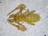  ( - BGE_00503_B07)  @11 [ ] Copyright (2024) Unspecified Croatian Biospeleological Society