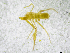  ( - BGE_00503_B10)  @11 [ ] Copyright (2024) Unspecified Croatian Biospeleological Society