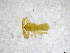  ( - BGE_00503_B12)  @11 [ ] Copyright (2024) Unspecified Croatian Biospeleological Society