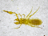  ( - BGE_00503_C02)  @11 [ ] Copyright (2024) Unspecified Croatian Biospeleological Society