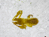  ( - BGE_00503_C03)  @11 [ ] Copyright (2024) Unspecified Croatian Biospeleological Society