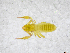  ( - BGE_00503_C04)  @11 [ ] Copyright (2024) Unspecified Croatian Biospeleological Society