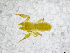  ( - BGE_00503_C05)  @11 [ ] Copyright (2024) Unspecified Croatian Biospeleological Society