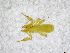  ( - BGE_00503_C05)  @11 [ ] Copyright (2024) Unspecified Croatian Biospeleological Society