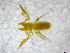  ( - BGE_00503_C07)  @11 [ ] Copyright (2024) Unspecified Croatian Biospeleological Society