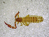  ( - BGE_00503_C10)  @11 [ ] Copyright (2024) Unspecified Croatian Biospeleological Society