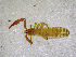  ( - BGE_00503_C10)  @11 [ ] Copyright (2024) Unspecified Croatian Biospeleological Society