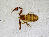  ( - BGE_00503_D10)  @11 [ ] Copyright (2024) Unspecified Croatian Biospeleological Society