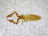  ( - BGE_00503_D11)  @11 [ ] Copyright (2024) Unspecified Croatian Biospeleological Society