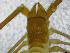  ( - BGE_00501_G02)  @11 [ ] Copyright (2024) Unspecified Croatian Biospeleological Society