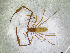  ( - BGE_00501_G03)  @11 [ ] Copyright (2024) Unspecified Croatian Biospeleological Society