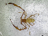  ( - BGE_00501_G04)  @11 [ ] Copyright (2024) Unspecified Croatian Biospeleological Society