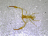  ( - BGE_00503_F02)  @11 [ ] Copyright (2024) Unspecified Croatian Biospeleological Society
