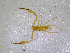  ( - BGE_00503_F02)  @11 [ ] Copyright (2024) Unspecified Croatian Biospeleological Society