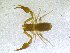  ( - BGE_00501_H08)  @11 [ ] Copyright (2024) Unspecified Croatian Biospeleological Society