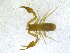  ( - BGE_00501_H08)  @11 [ ] Copyright (2024) Unspecified Croatian Biospeleological Society
