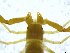  ( - BGE_00501_H09)  @11 [ ] Copyright (2024) Unspecified Croatian Biospeleological Society