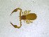  ( - BGE_00501_H10)  @11 [ ] Copyright (2024) Unspecified Croatian Biospeleological Society