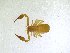  ( - BGE_00501_H10)  @11 [ ] Copyright (2024) Unspecified Croatian Biospeleological Society