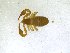  ( - BGE_00501_H11)  @11 [ ] Copyright (2024) Unspecified Croatian Biospeleological Society