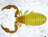  ( - BGE_00501_B05)  @11 [ ] Copyright (2024) Unspecified Croatian Biospeleological Society