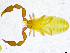  ( - BGE_00501_B05)  @11 [ ] Copyright (2024) Unspecified Croatian Biospeleological Society