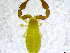  ( - BGE_00501_B07)  @11 [ ] Copyright (2024) Unspecified Croatian Biospeleological Society
