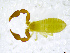  ( - BGE_00501_B07)  @11 [ ] Copyright (2024) Unspecified Croatian Biospeleological Society