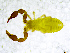  ( - BGE_00501_B07)  @11 [ ] Copyright (2024) Unspecified Croatian Biospeleological Society