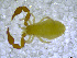  ( - BGE_00501_B06)  @11 [ ] Copyright (2024) Unspecified Croatian Biospeleological Society