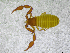  ( - BGE_00502_C06)  @11 [ ] Copyright (2024) Unspecified Croatian Biospeleological Society