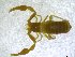  ( - BGE_00502_B07)  @11 [ ] Copyright (2024) Unspecified Croatian Biospeleological Society