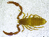  ( - BGE_00501_B08)  @11 [ ] Copyright (2024) Unspecified Croatian Biospeleological Society