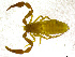  ( - BGE_00501_B08)  @11 [ ] Copyright (2024) Unspecified Croatian Biospeleological Society