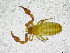  ( - BGE_00501_B10)  @11 [ ] Copyright (2024) Unspecified Croatian Biospeleological Society