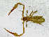  ( - BGE_00504_A09)  @11 [ ] Copyright (2025) Unspecified Croatian Biospeleological Society