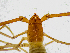  ( - BGE_00504_A10)  @11 [ ] Copyright (2025) Unspecified Croatian Biospeleological Society
