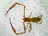  ( - BGE_00504_A10)  @11 [ ] Copyright (2025) Unspecified Croatian Biospeleological Society
