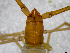  ( - BGE_00504_A12)  @11 [ ] Copyright (2025) Unspecified Croatian Biospeleological Society