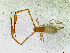  ( - BGE_00504_A12)  @11 [ ] Copyright (2025) Unspecified Croatian Biospeleological Society