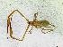  ( - BGE_00504_A12)  @11 [ ] Copyright (2025) Unspecified Croatian Biospeleological Society