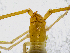  ( - BGE_00504_B02)  @11 [ ] Copyright (2025) Unspecified Croatian Biospeleological Society