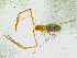  ( - BGE_00504_B02)  @11 [ ] Copyright (2025) Unspecified Croatian Biospeleological Society