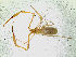  ( - BGE_00504_B02)  @11 [ ] Copyright (2025) Unspecified Croatian Biospeleological Society