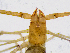 ( - BGE_00504_B03)  @11 [ ] Copyright (2024) Unspecified Croatian Biospeleological Society